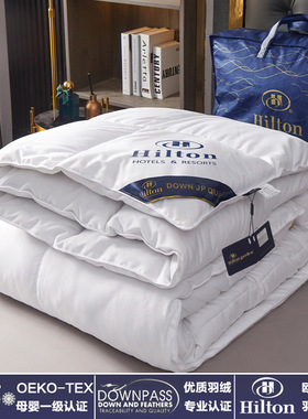 Goose Down Duvet All Season Comforter Winter Warm Blanket