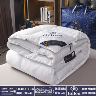 All Season Comforter Goose Warm Duvet Winter Blanket Down