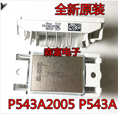 全新原装 P543A2005 P543A07 功率模块 IGBT模块 电源模块 P543A