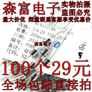 5*20mm带引线脚玻璃保险管 5A/250V F5AL 双帽环保 T5AL250V