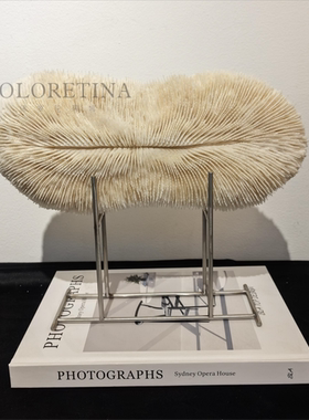 现代简约天然海产品珊瑚装饰品摆件样板间玄关柜体天然珊瑚装饰品