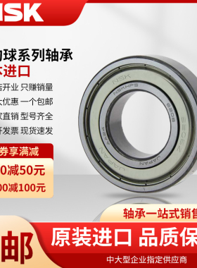 NSK日本轴承 16007 16008 16009 16010 16011 16012 16013 ZZ DDU