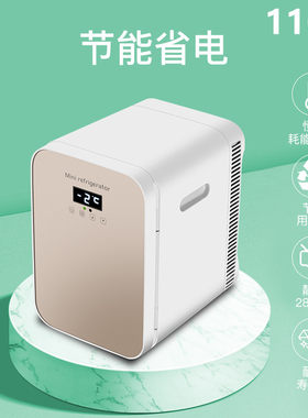 110V车家两用小冰箱15L小型冷暖两用冷藏冰箱出口台湾美国加拿大