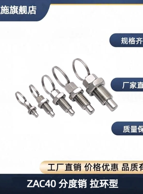 ZAC40/ZAC41/ZAC42/ZAC43/44/45-M6 M8 M10 M12 分度销 拉环型