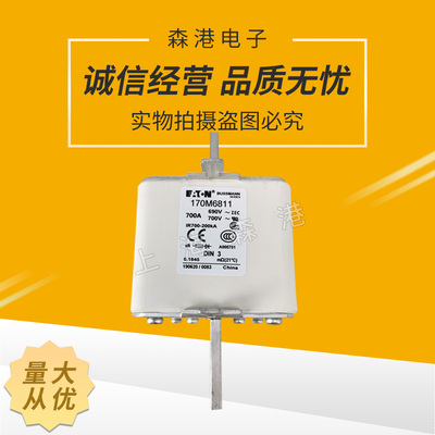 全新，快速熔断器170M6810D，170M6811D保险丝底座熔芯