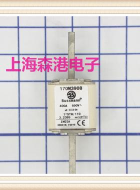 全新底座熔芯熔断器保险丝170M3098