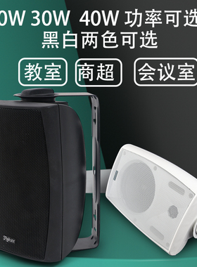 flykace教室挂壁喇叭定压壁挂音箱校园广播系统店铺背景音乐音响