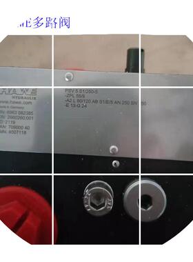 现货多路阀PSV5S1/250-5-ZPL55/9-A2L80/120ABS1/E/5AN250BN2
