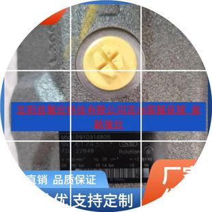 VPA VPA12N0柱塞A10VSO45DR 现货液压泵A10VSO28DR 31R