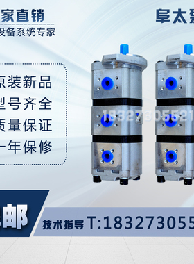 阜太泵业小型挖掘机三联齿轮泵玉柴挖机泵CBFT-F309/309/303AFK1