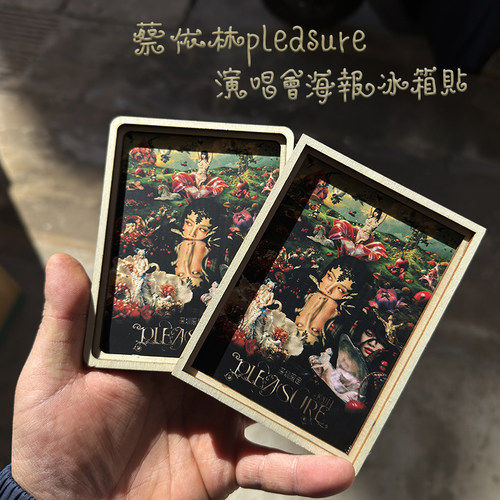 蔡依林pleasure2026演唱会冰箱贴