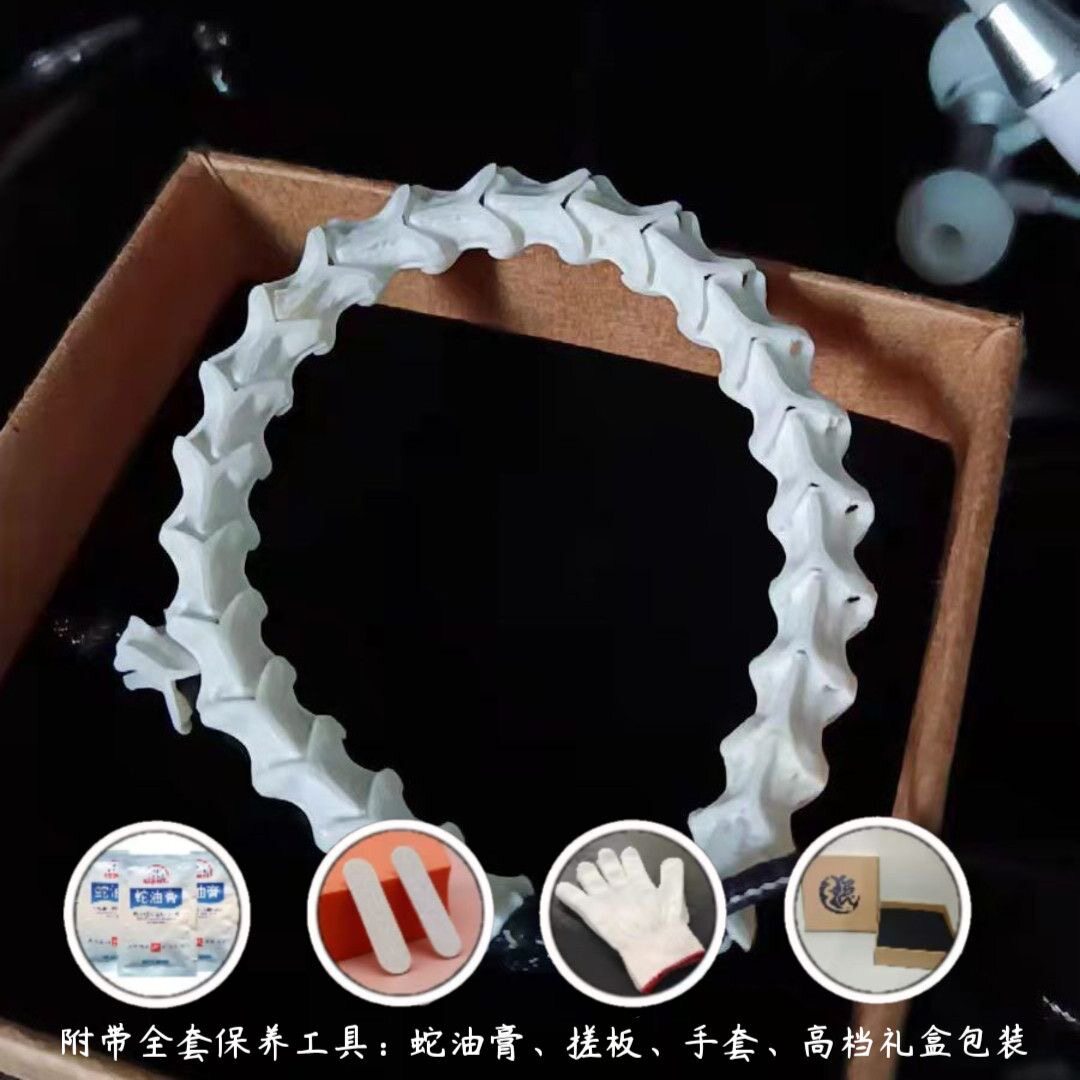 优质蛇骨手串天然冷门小众文玩简约手链纯天然蛇骨链饰品高端礼物