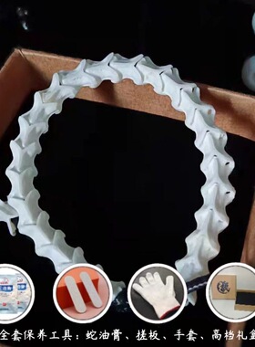 优质蛇骨手串天然冷门小众文玩简约手链纯天然蛇骨链饰品高端礼物