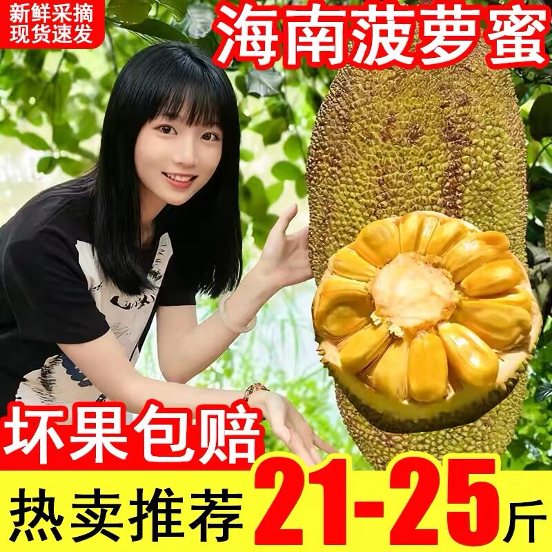 海南三亚黄肉干苞菠萝蜜新鲜采摘水果一整个包邮批发官方旗舰店