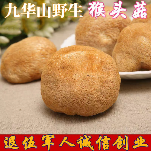 猴头菇干货新鲜黄山野生猴菇精品出口九华山猴头菌天然干猴头500g