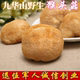猴头菇干货新鲜黄山野生猴菇精品出口九华山猴头菌天然干猴头500g