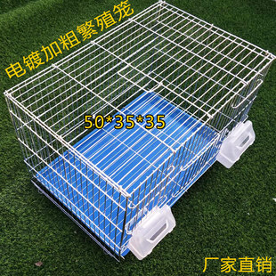 可折叠鸟笼镀锌繁殖笼子玉鸟鹦鹉辣椒金属大头抱窝笼活底防溅食盒