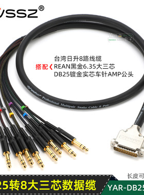 台湾日升彩虹多芯db25卡农线6.35