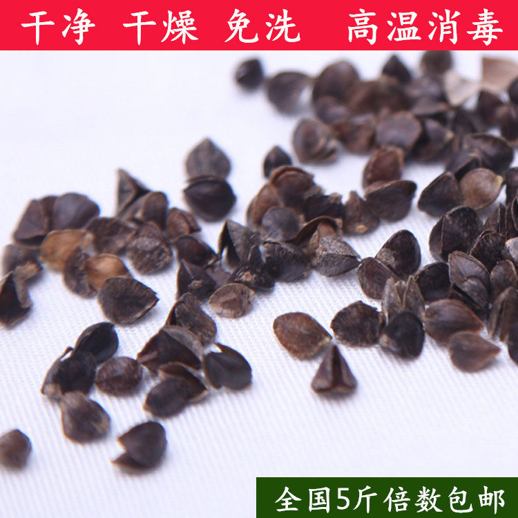 内蒙古特级消毒散装苦乔荞麦壳