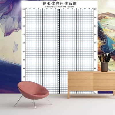 大型体态评估表背景墙纸网格壁画