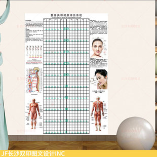 整骨美容健康体测评估系统墙纸女人脸面部五官形体礼仪姿态评估图