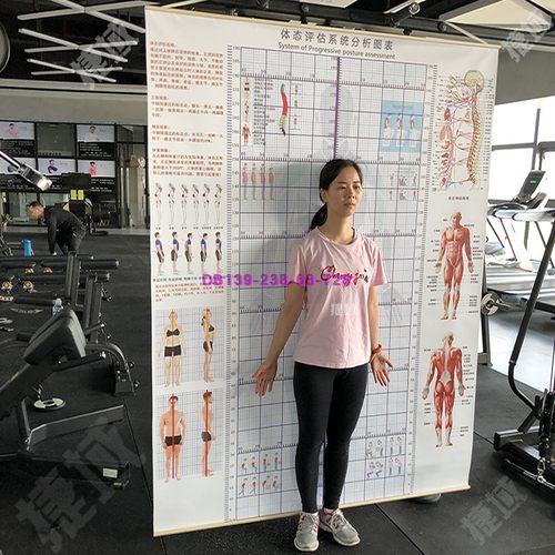 专业体态评估表图健身墙姿势壁画