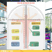体姿体态臂展角度评估系统大尺寸康复体测图