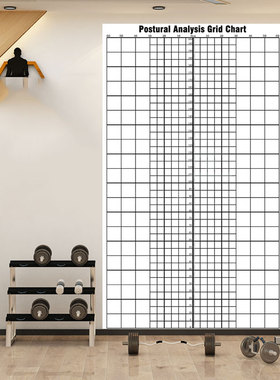 英文版FIT体测方格姿态评估图墙纸 Postural Analysis Grid Chart