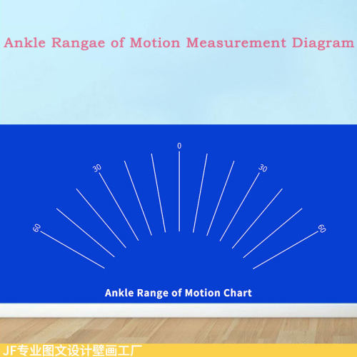 AnkleRangeofMotionChart