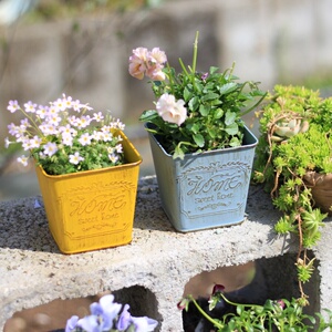 出口铁皮桶复古做旧英文多肉盆栽收纳桶花桶绿植园艺花盆套盆收纳