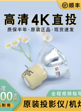 NEC投影机灯泡CD1110 CR3125 CR3250 CR3125X CD1100 CR3126X CR3115X CD1010H CR3030H  NP40LP