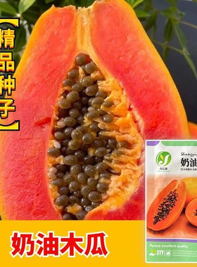 奶油木瓜种子皮薄肉红高产食用水