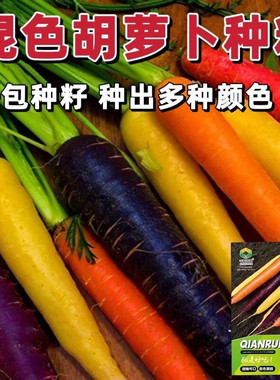 新品多彩胡萝卜种子可盆栽