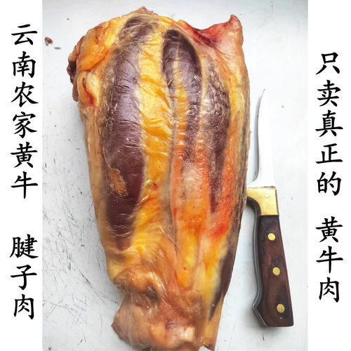 云南黄牛肉 牛小腿肉腱包肉 新鲜整块牛腱子肉 卤牛肉前腿腱子肉