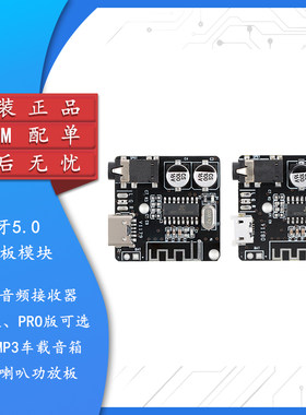 PRO蓝牙5.0音频接收器喇叭功放板