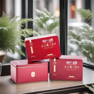 湖南新化奉家古币渠江铁韵渠江薄片黑茶铁盒装200克渠小铁