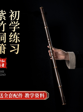 高端洞箫紫竹六八孔箫专业演奏级成人儿童女生手工考级传统箫