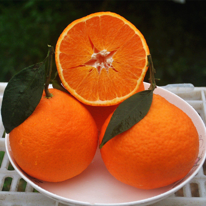 四川爱媛38号果冻橙蒲江红美人新鲜孕妇水果浦江甜柑橘子大果包邮,水产肉类/新鲜蔬果/熟食,桔子,淘宝优惠券,粉丝福利购,淘宝优惠卷