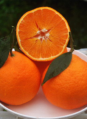 四川爱媛38号果冻橙蒲江红美人新鲜孕妇水果浦江甜柑橘子大果包邮