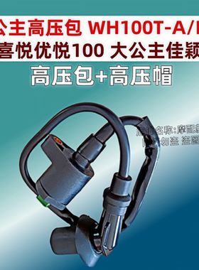 WH100T-A/F/G100125高压包高压帽点火器高压帽