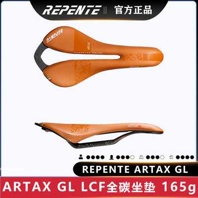 进口全碳纤维公路山地通用坐垫