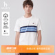 休闲短袖 时尚 Hazzys哈吉斯夏季 圆领T恤条纹男上衣 易打理液氨