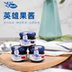 草莓樱桃覆盆子组合装 临期特价 进口Hero英雄迷你果酱28.3gx3个装