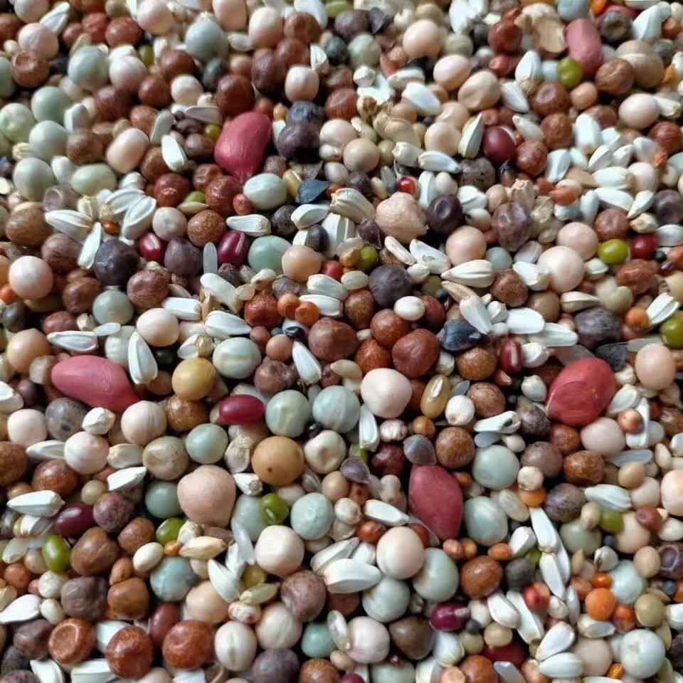 赛动力无玉米鸽粮50斤