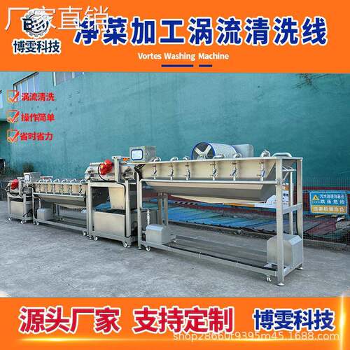 涡流清洗机 芹菜土豆叶菜菌菇净菜加工设备 果蔬清洗深加工流水线