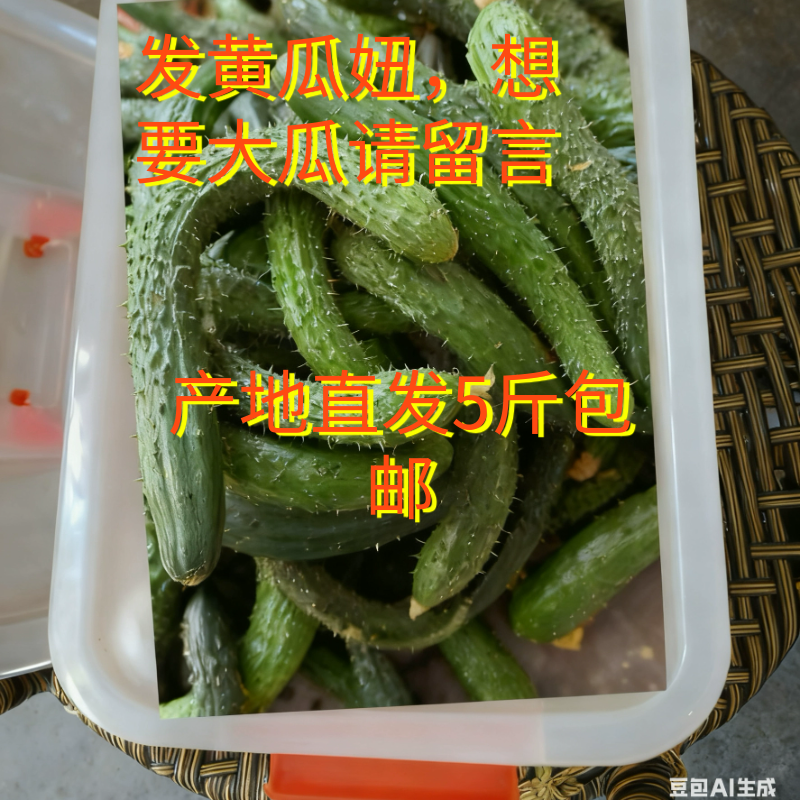 山东产地直发新鲜小黄瓜扭带刺瓜妞收纳盒包装美味与实用兼得