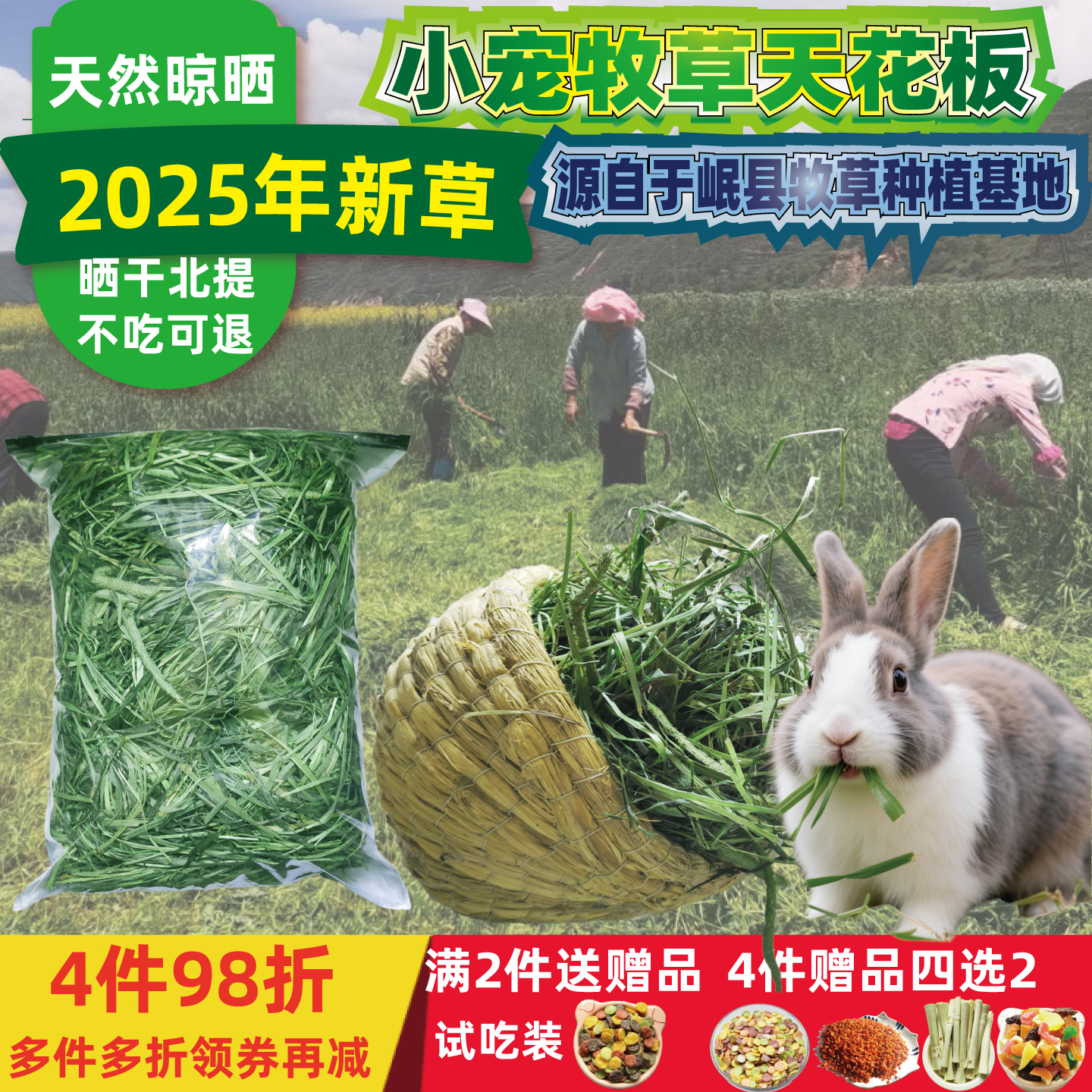 2025提莫西吃的喜欢晒干食用提摩西草兔子甘草豚鼠专用摩提西摩草
