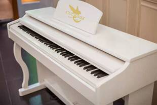 布谷鸟C6608家用立式智能电钢琴88键盘力度重锤练习专业考级演奏