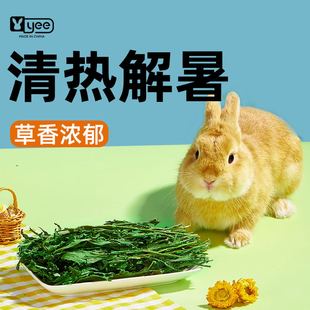 yee蒲公英干草菊苣兔子粮草替苜蓿豚鼠龙猫零食兔草食用草兔饲料