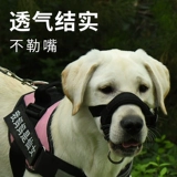 Корпус собаки анти -бедьерые и анти -планом плюс